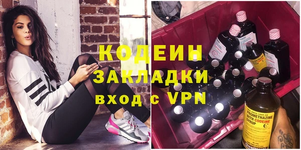 гашик Алексин