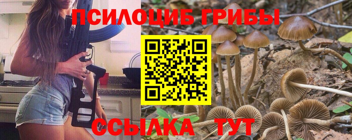 Галлюциногенные грибы мицелий  Вход с VPN  Новочебоксарск 