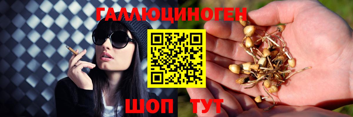 Галлюциногенные грибы Magic Shrooms Новочебоксарск